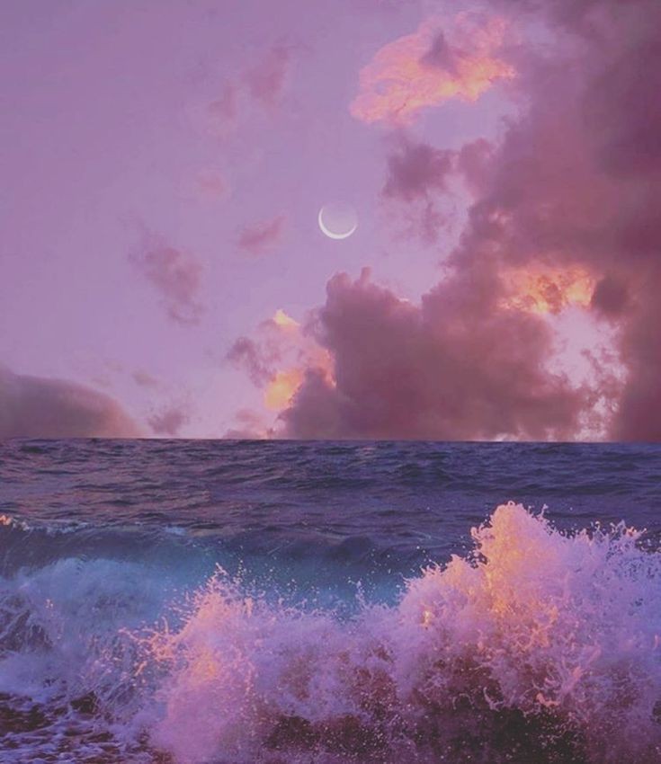 loveofsunset's tweet photo. pink sky https://t.co/xzd7oaf8m5