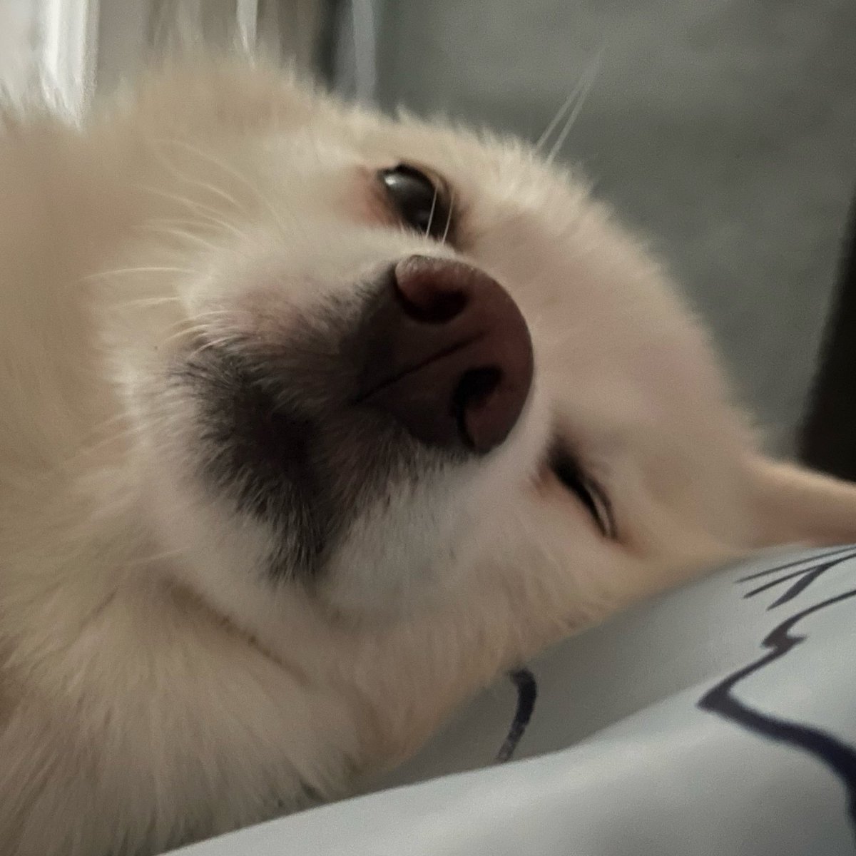 웅니 여름 언제끗나..?