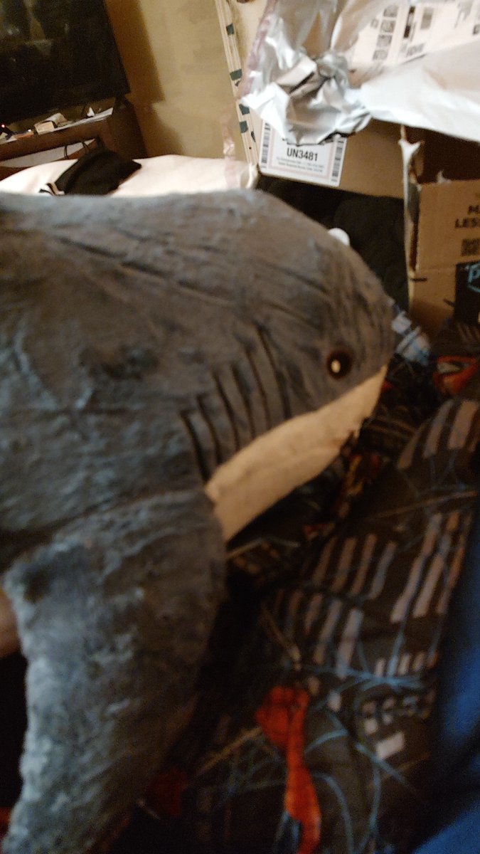 nazerda sky tweet media