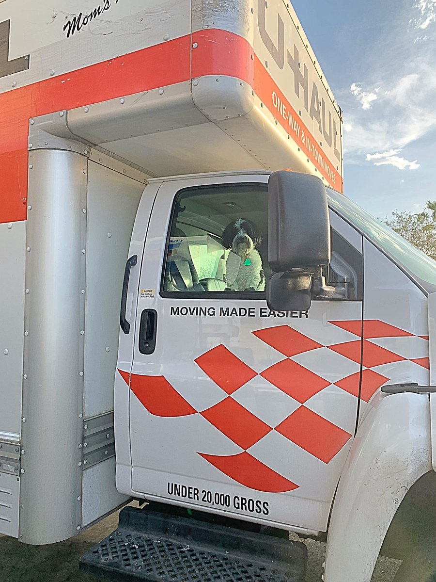 Dis big truck takes me and my stuff to a new condo. #bandit #lawless #dogsoftwitter