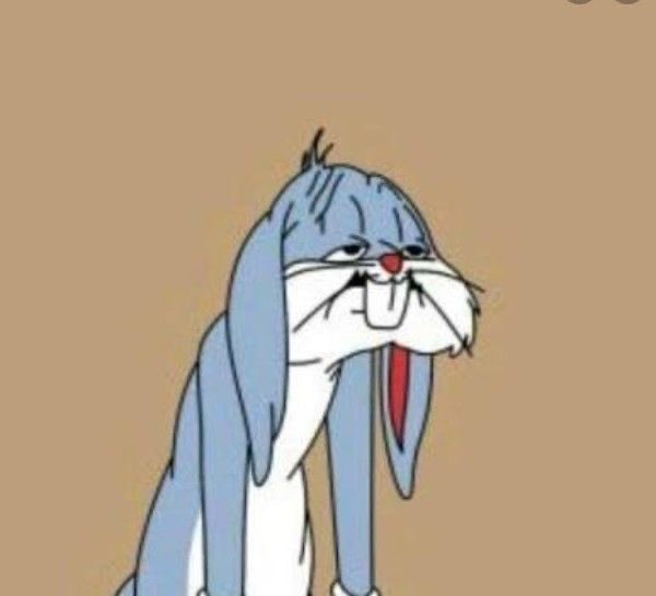 crisayonara's tweet photo. não importa se eu tenho 4 ou 12h de sono, eu sempre vou acordar assim https://t.co/1yAb76IUmM