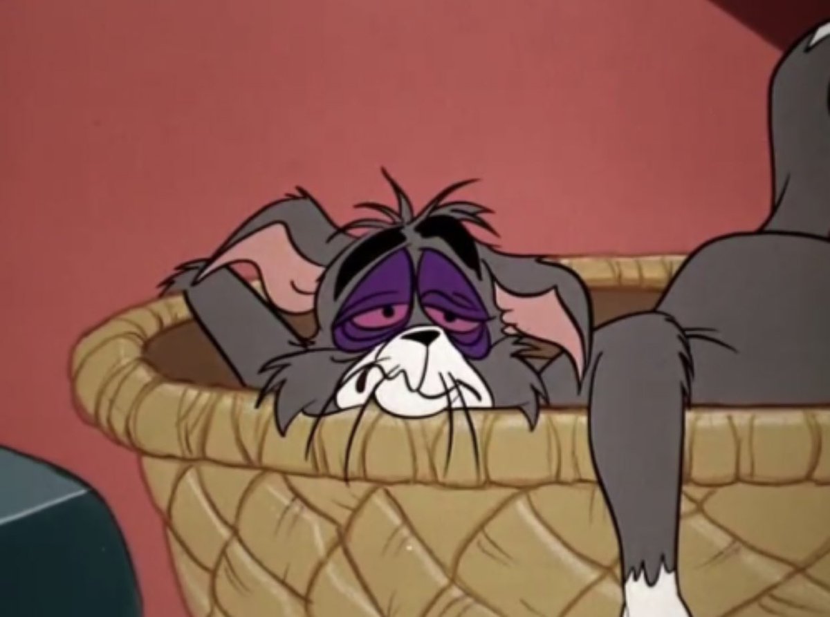 crisayonara's tweet photo. não importa se eu tenho 4 ou 12h de sono, eu sempre vou acordar assim https://t.co/1yAb76IUmM