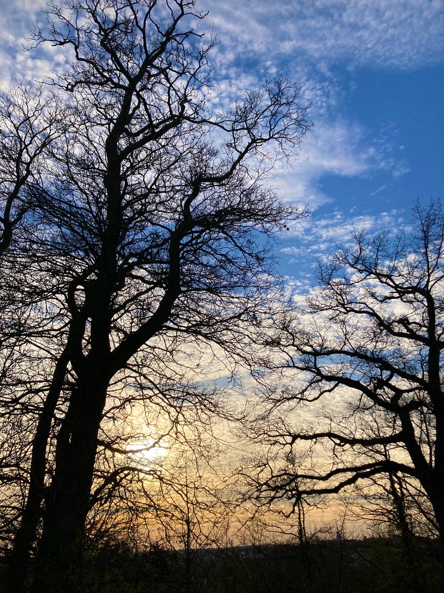 pvcerri's tweet photo. #onepictureaday #travel #umafotoaodia #viagem
 #Maastritch #Netherlands 
The Netherlands 🇳🇱 Holanda
Maastricht https://t.co/DZOgqM05v2