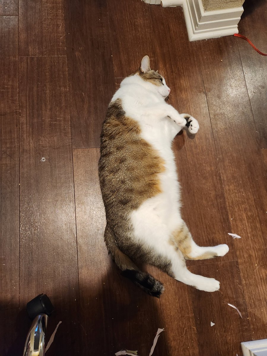 cause of death: 3 whole minutes with NO attention