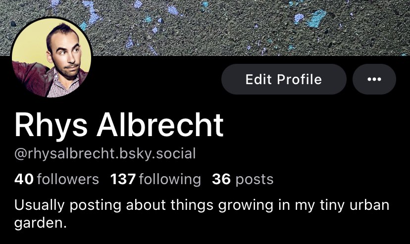 rhysalbrecht on blue sky tweet media