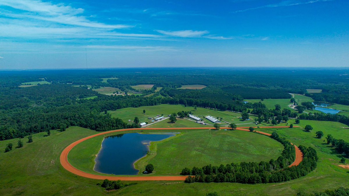 Alex Nelson tweet media