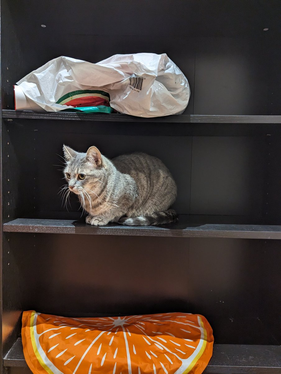 Nyx has replaced our DND books