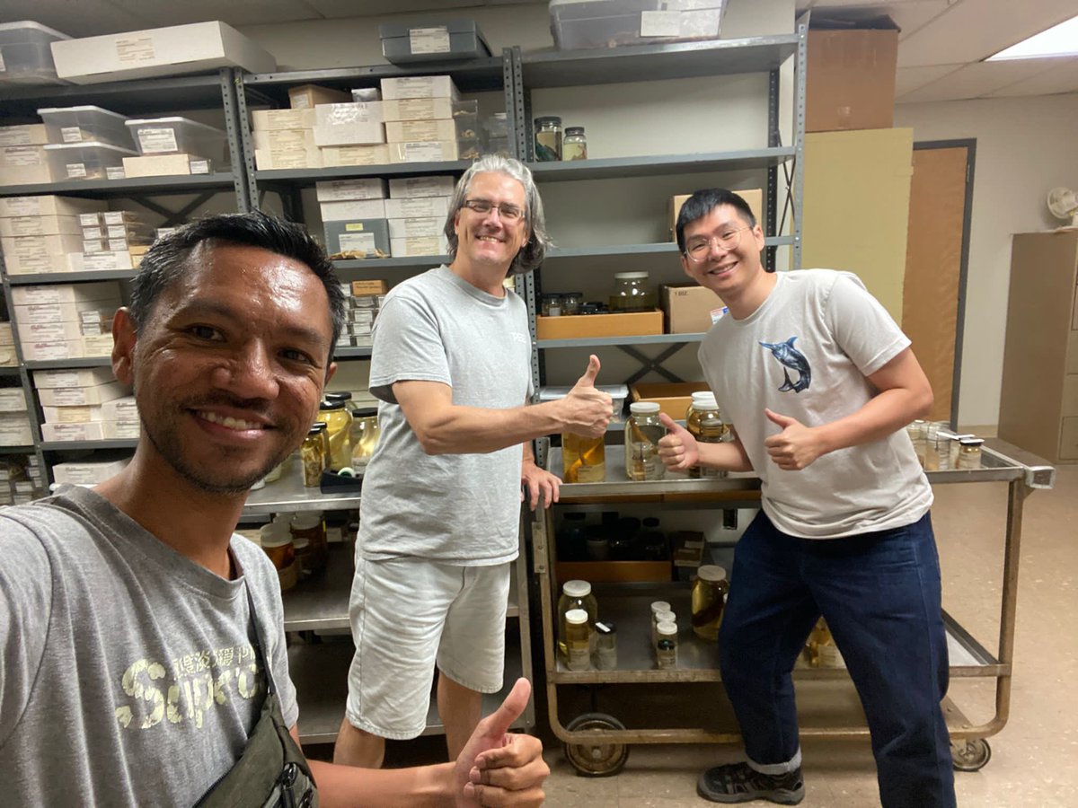 Bai-an Lin tweet media