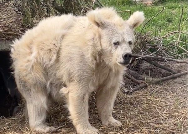 kisa ✧˖°. tweet media