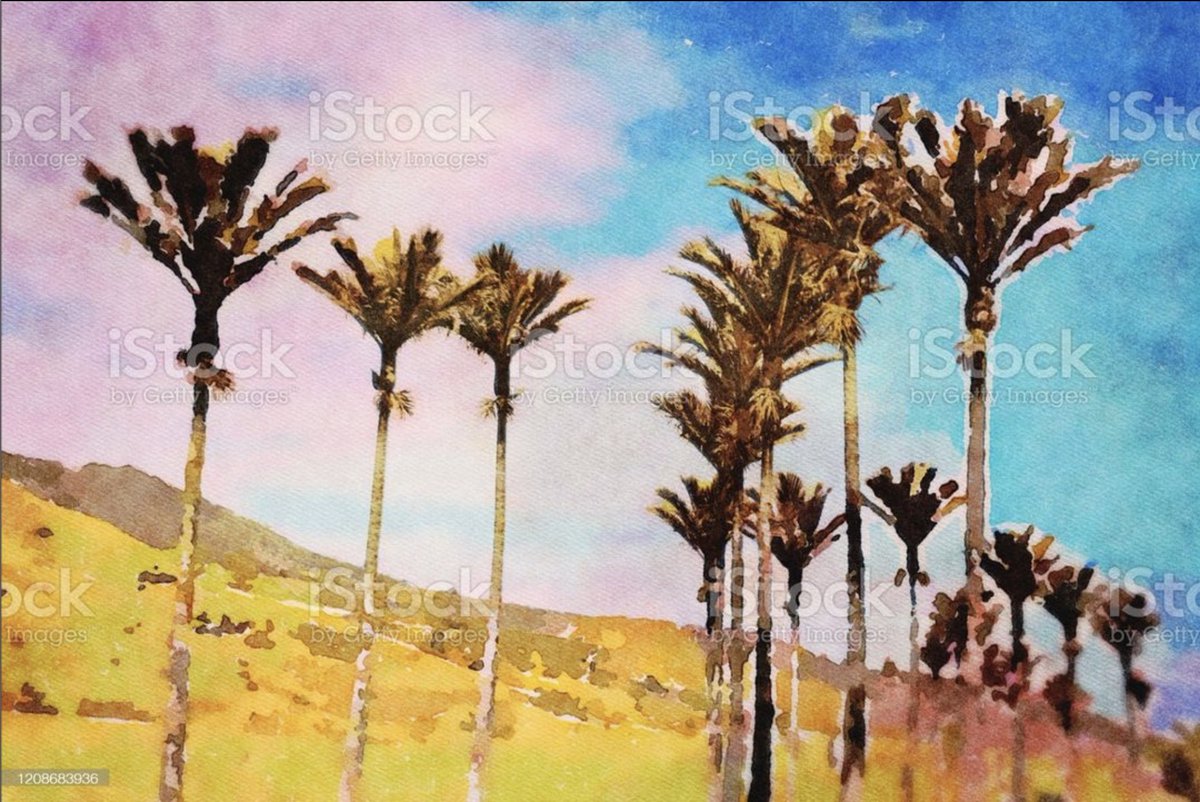 Royalty_Free_'s tweet photo. Watercolour #Nikau Palm Tree Horizon, Last Light on the Westcoast.
. . .
All new #Watercolour #Art available now for all your #Social, #Website, #Blog, #Advertising &amp; #Marketing needs!
. . .
More Images available in my Portfolio. Search #Watercolor #Lazingbee #1208683936 https://t.co/DIm3qd8dpd