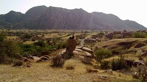 Humiliation, auction, and destructon of historical asset of Thar of Sindh is not acceptable at any cost.
Save#Karoonjher