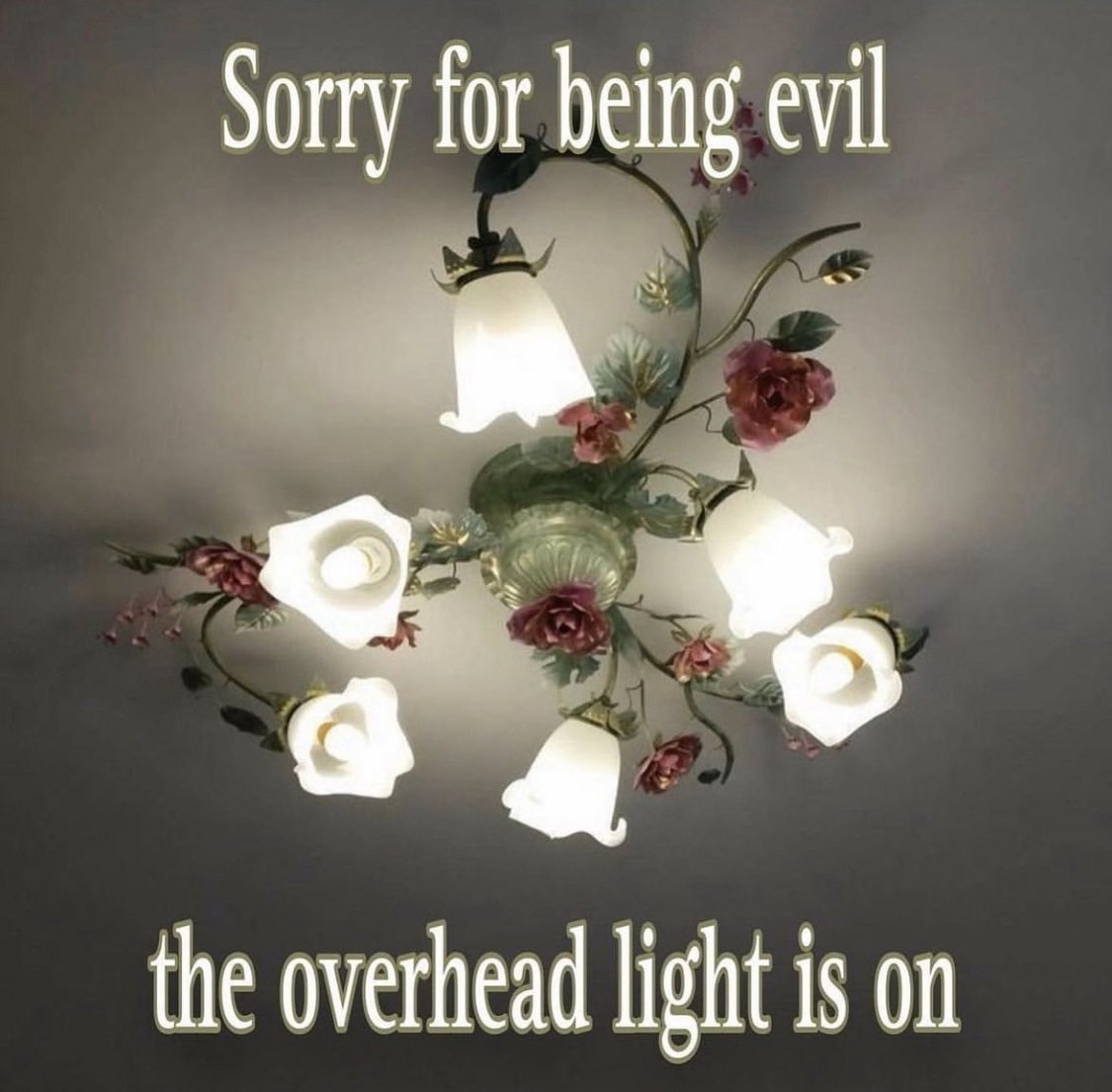 julia ☻ (naive melody) tweet media