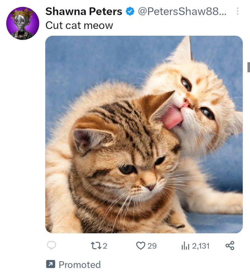 lesbiathan's tweet photo. incredible promoted tweet. still blocked tho https://t.co/kGLXRlgguG