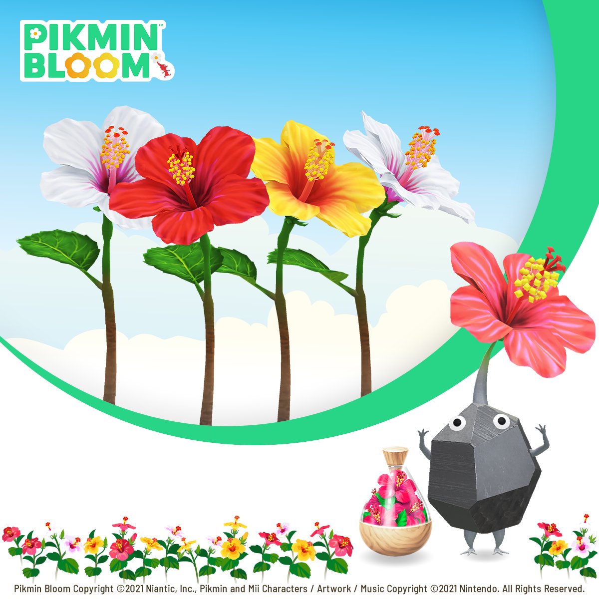 Pikmin Bloom on Twitter "🌺August Big Flower Forecast🌺 This coming