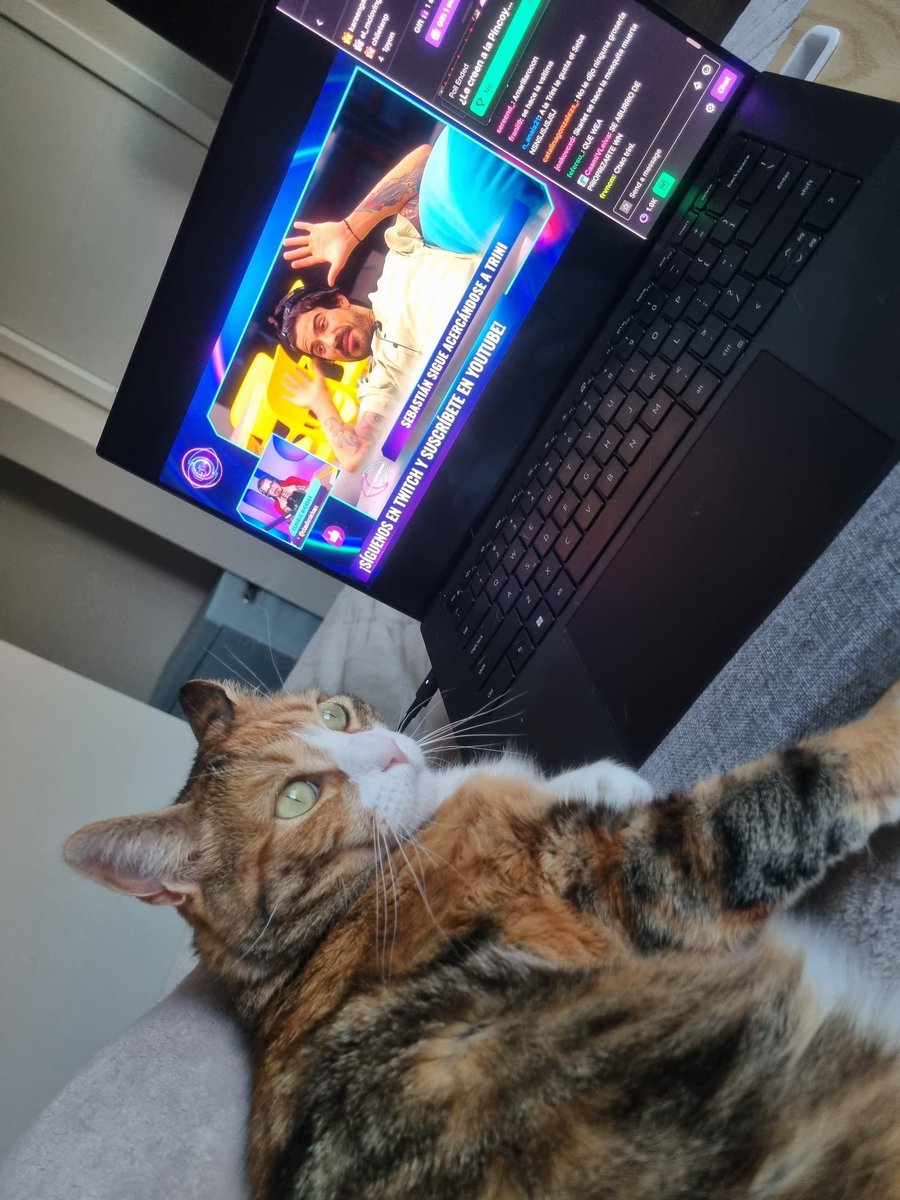 lisaandraa's tweet photo. @ClaudioMichaux explicándole a la Tita que no se puede votar por Bigote 😾 #GranHermanoChile https://t.co/WURL88nSVO