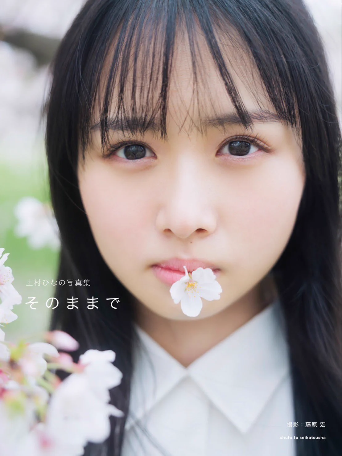 日向坂46 on X: 