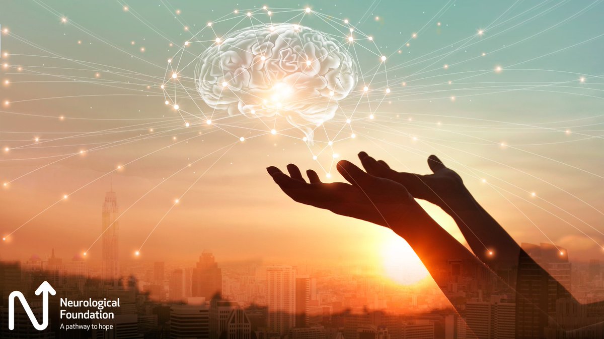 For over 15 years, the Australasian Course in Advanced Neuroscience (ACAN) has been training the next generation of brilliant neuroscientists. ACAN is receiving $14,000 from the Neurological Foundation, which includes subsidies for NZ students to attend. neurological.org.nz/research/funde…