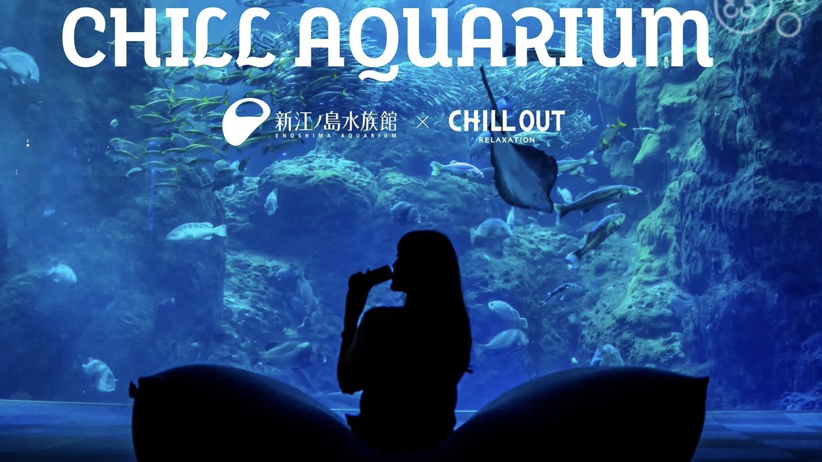 ore_ikitai's tweet photo. 江ノ島の水族館にすごいイベントきたあああ…！なんとYogiboでグダグダしたり、シーシャ吸いながら魚やクラゲを観察できるの激チル…🥺水族館×チル、行きたすぎて有給取りそう…… https://t.co/btRmf7lG9m