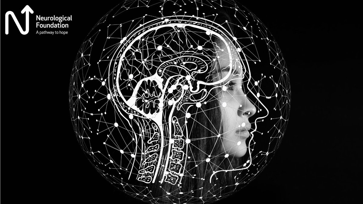 Congratulations to the Australasian Winter Conference on Brain Research which is receiving $20,000 from the Neurological Foundation to help take 47 early career neuroscientists to this year's conference in Queenstown. Read more neurological.org.nz/research/funde…