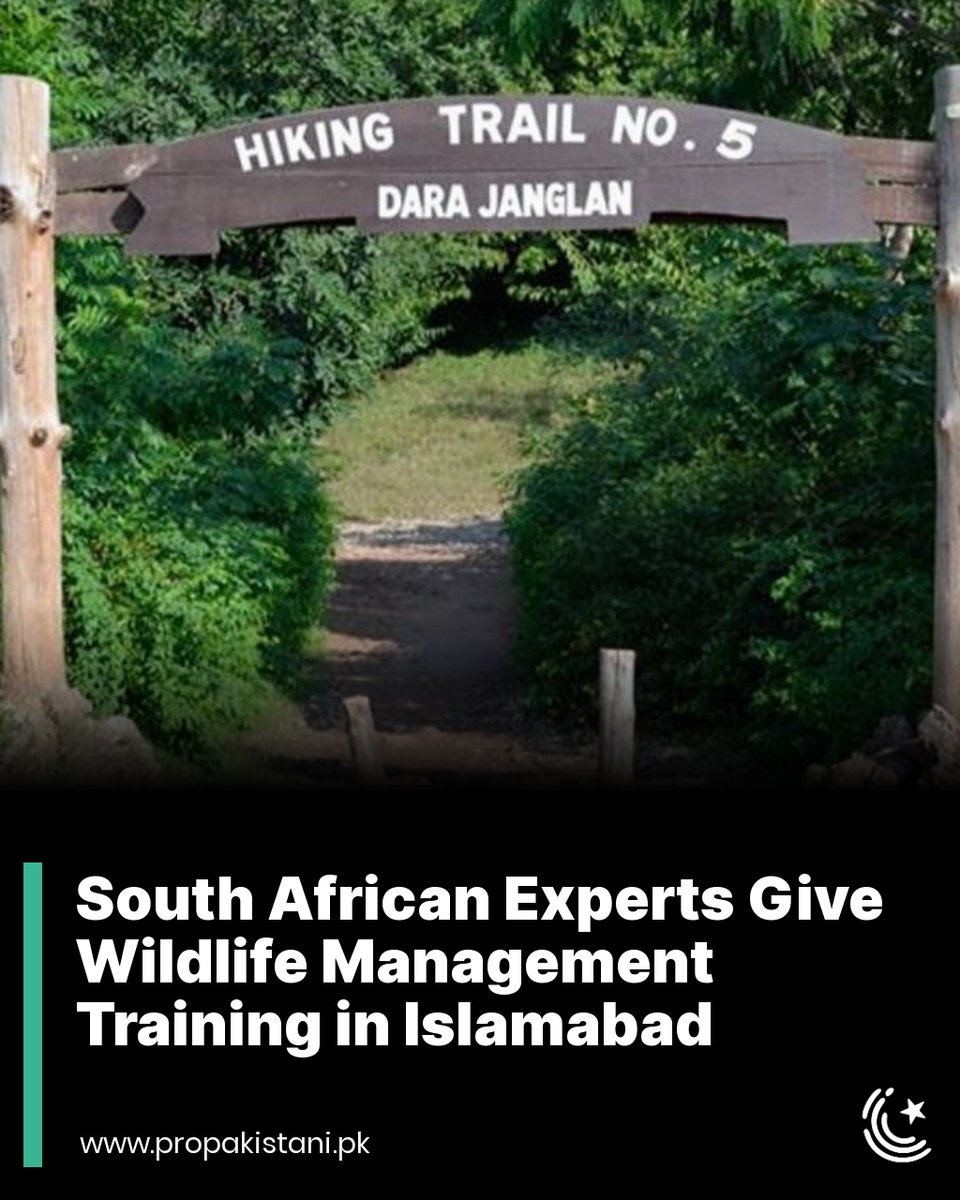 ProPakistaniPK's tweet image. Distinguished South African wildlife experts shared their vast knowledge and experience with the participants.

Read More: propakistani.pk/2023/07/24/sou…

#Islamabad #MargallaHills #MHNP #IWMB #Wildlife