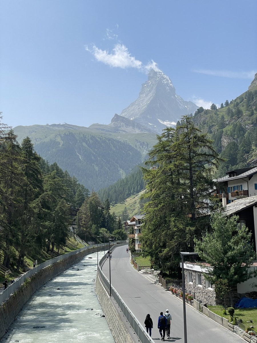 Sarah Pappin tweet media