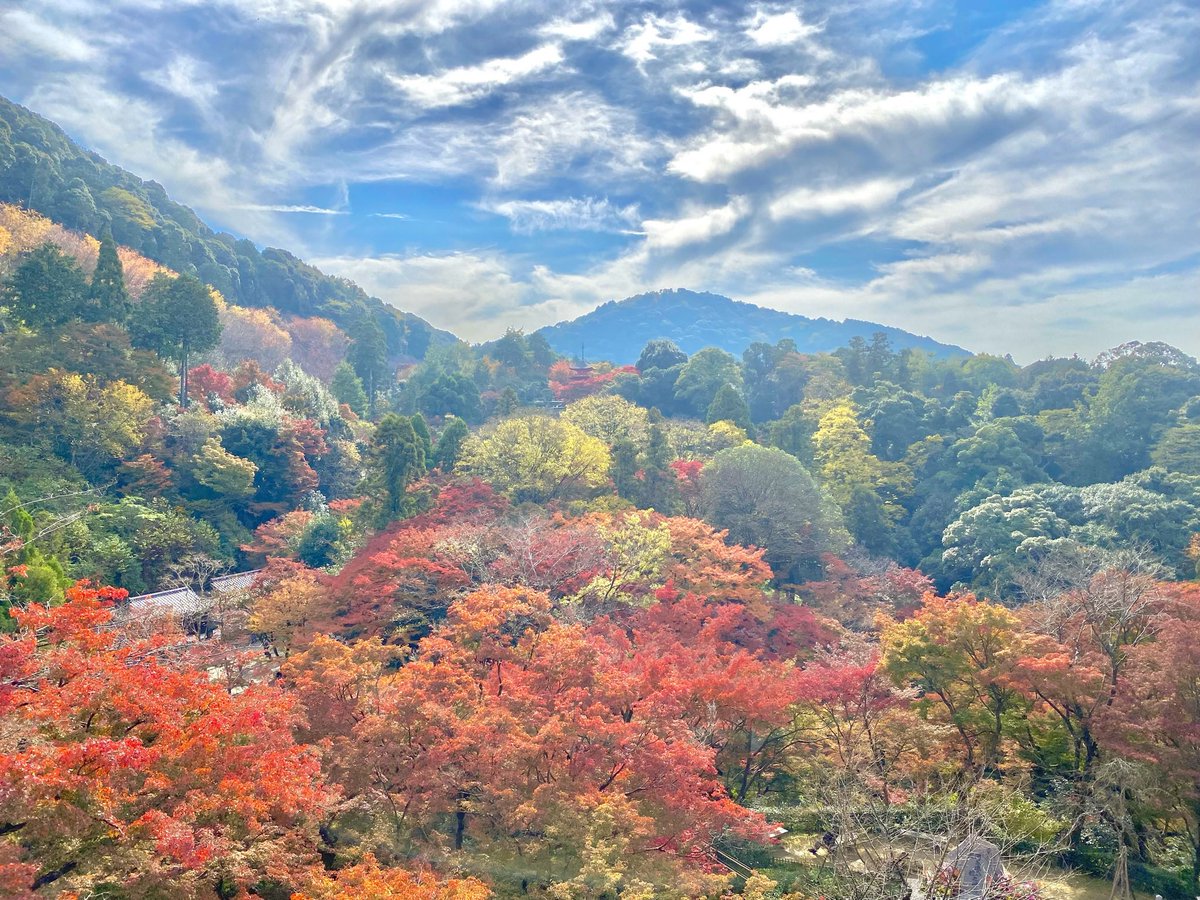 「2年前くらいに撮った京都の写真今でもお気に入り」|【6_6】フルーツリウス➴❦のイラスト