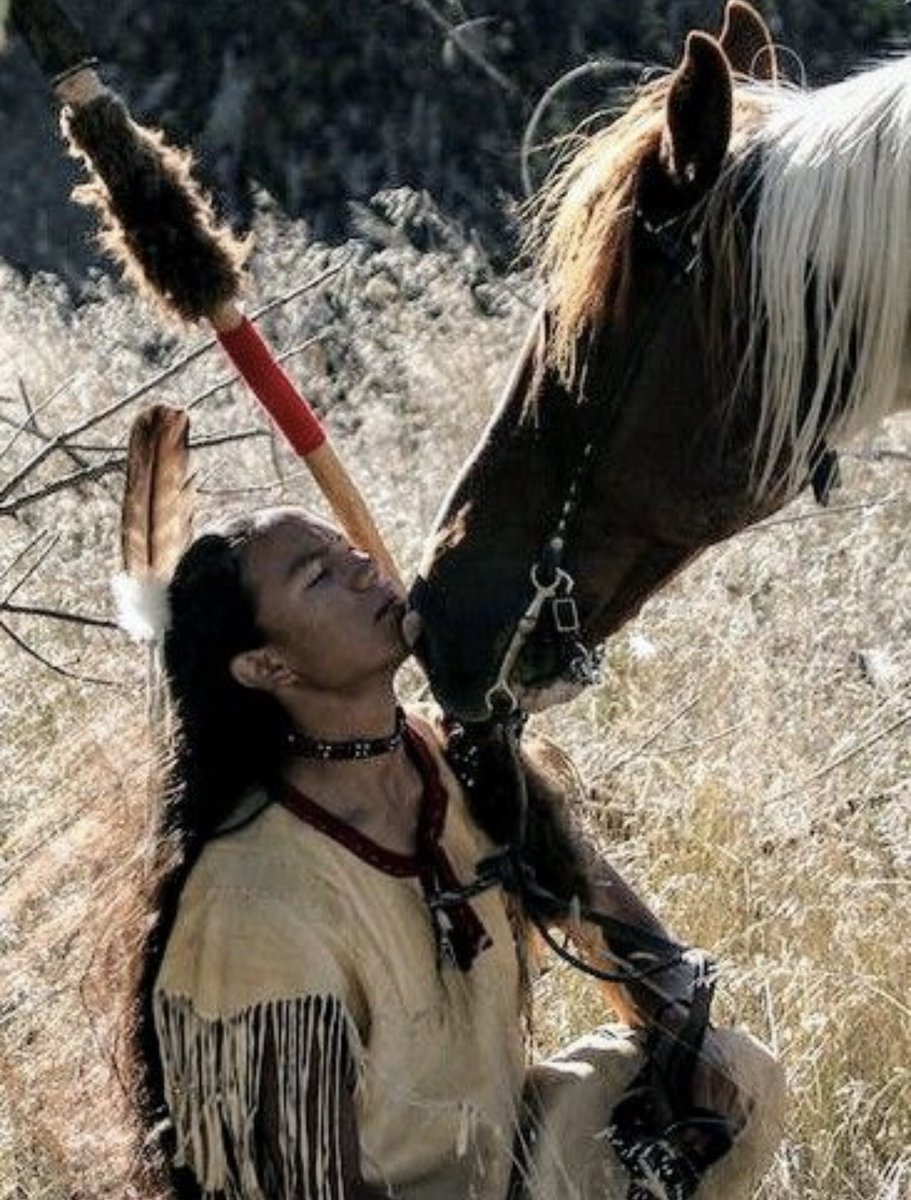 Native3rd's tweet photo. “When we show our respect for other living things, they respond with respect for us.” 
– Arapaho, 🪶✨ https://t.co/zXJWMUxtVv