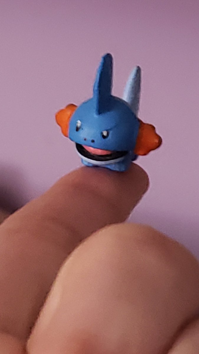 Angelwings_200's tweet photo. @NostalgiaFolder Anyone know where this tiny mudkip is from? I think I found him at the playground as a little kid and have somehow kept track of him https://t.co/KIFtDvs2BY