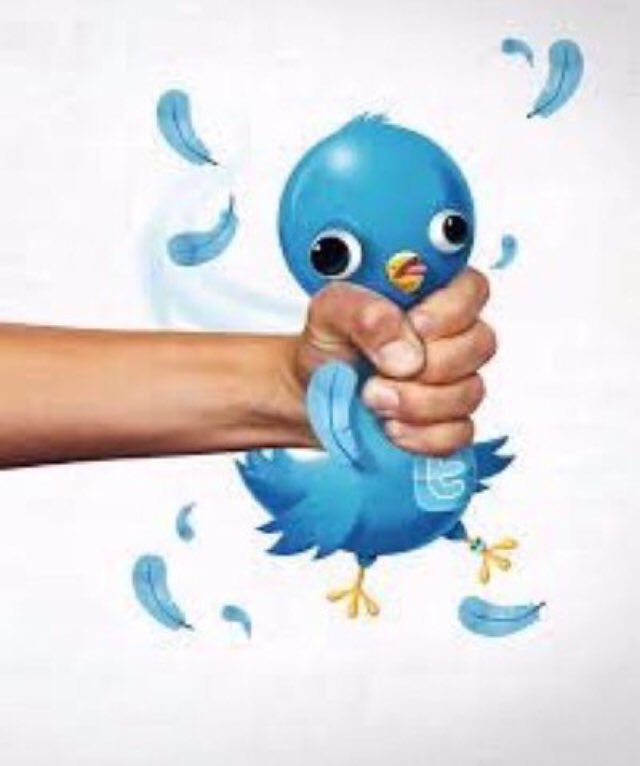 We like the blue bird logo! Do not change it @elonmusk #SaveTheBird