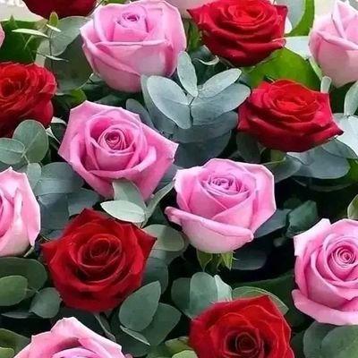 صبـ(⛅)ـُ(آٍلـٍـً(🌺)ـٍورٍدً)ـ(⛅)ـٍآٍآٍحً