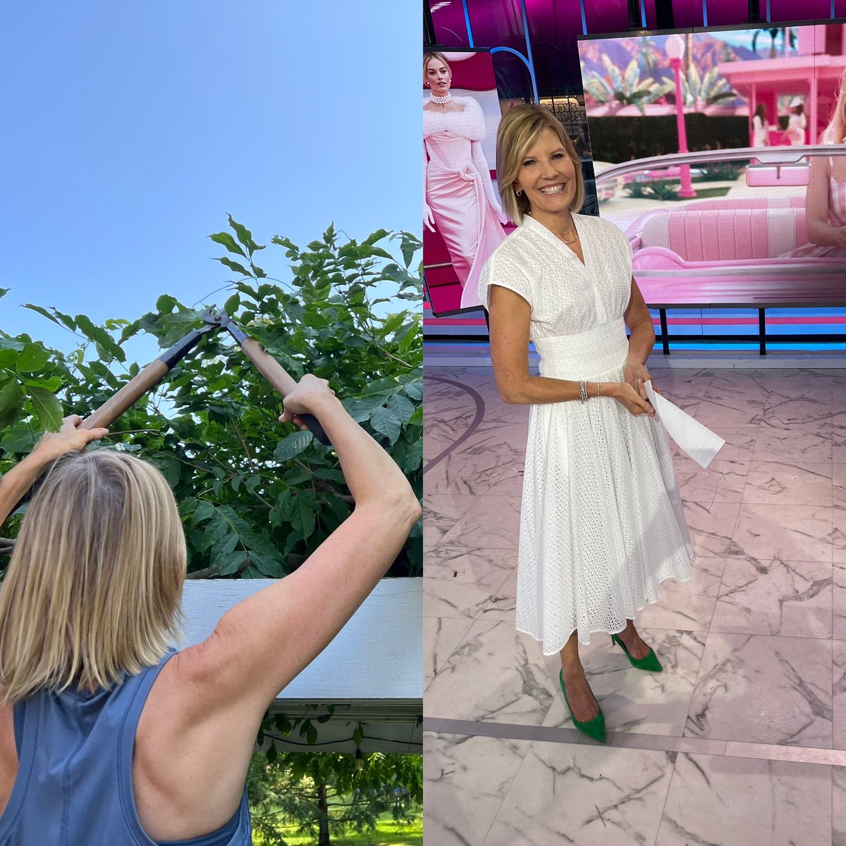 Kate Snow tweet media