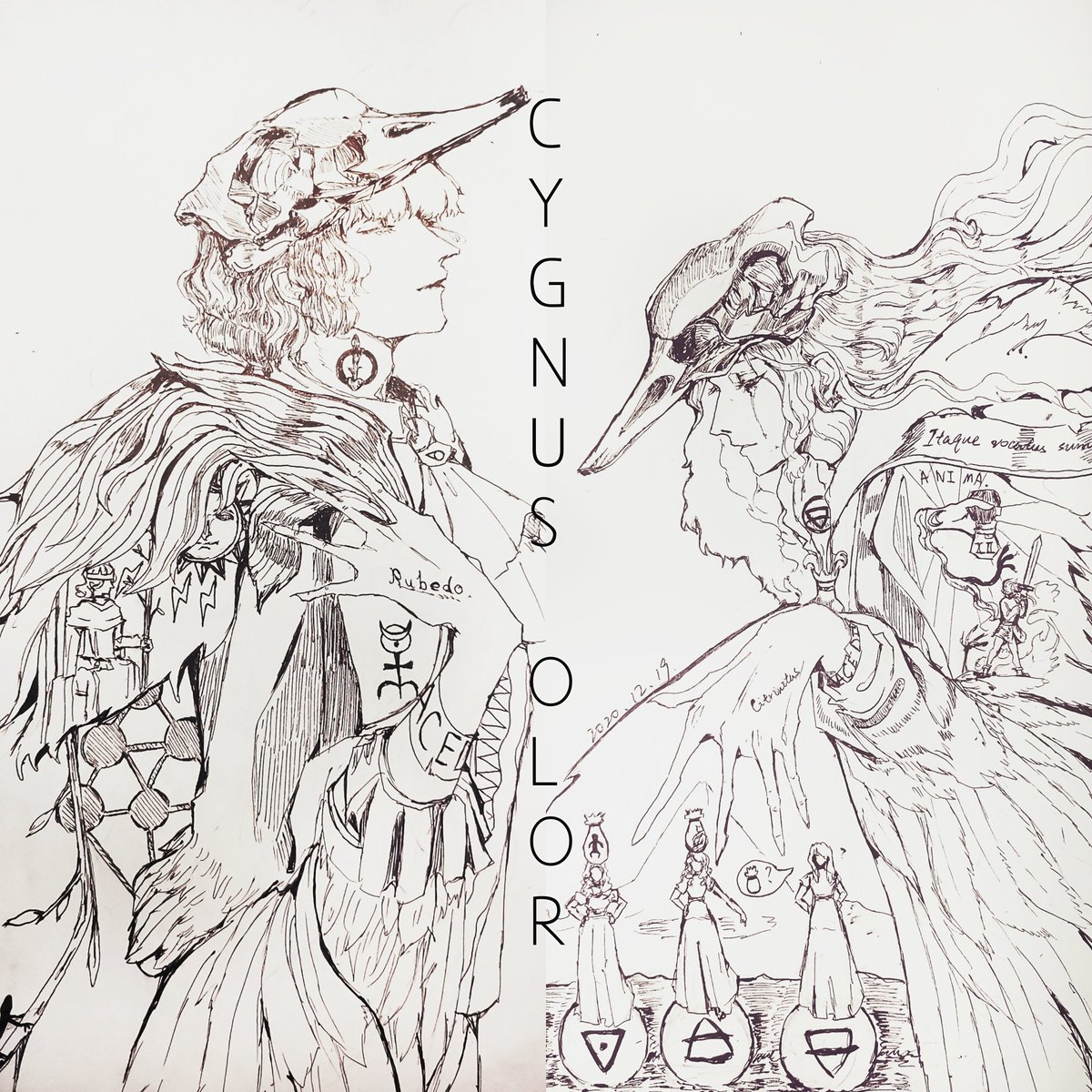 Timeandspace30's tweet image. 以前画在纸上的练习，这个系列本来有六张，然而这里只能放四张图片……没有任何额外的意味，只是单纯地觉得头骨蕴含的死亡意义很棒，很适合脑子空空又想画点什么的时候