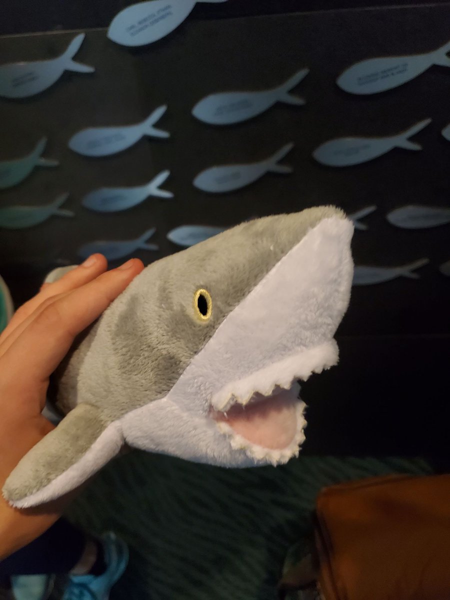 It is #SharkWeek ! you are now obligated to give the sharks of splatoon a nice like and follow 🤯

have a happy shark week everyone!
(you are also obligated to give berry his yearly hello!)