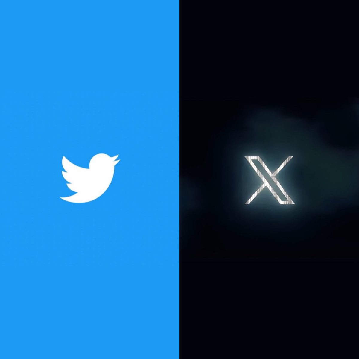 Ramin Nasibov tweet media