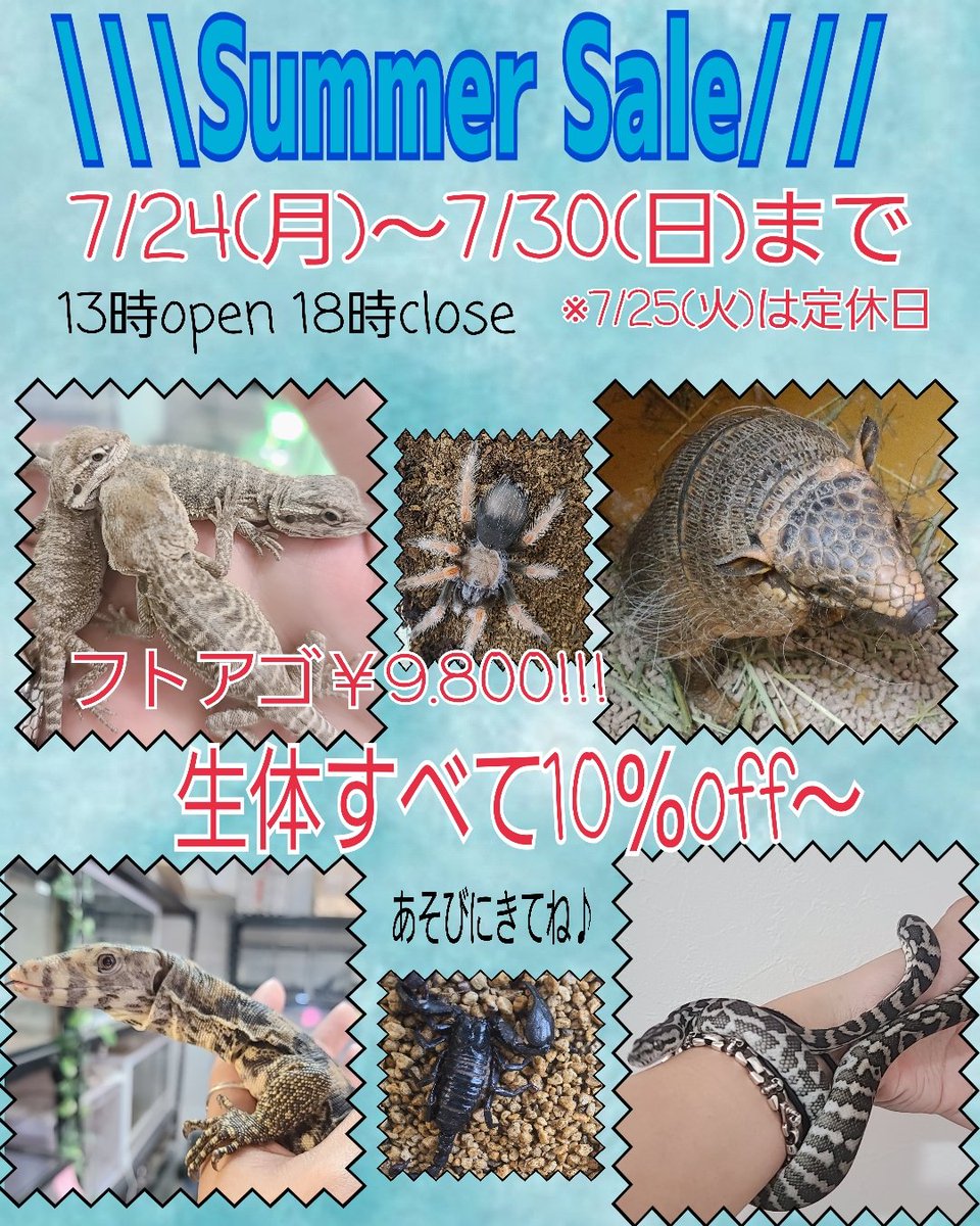 エキゾチックアニマルRodzina (@Rodzina7) / Posts / X