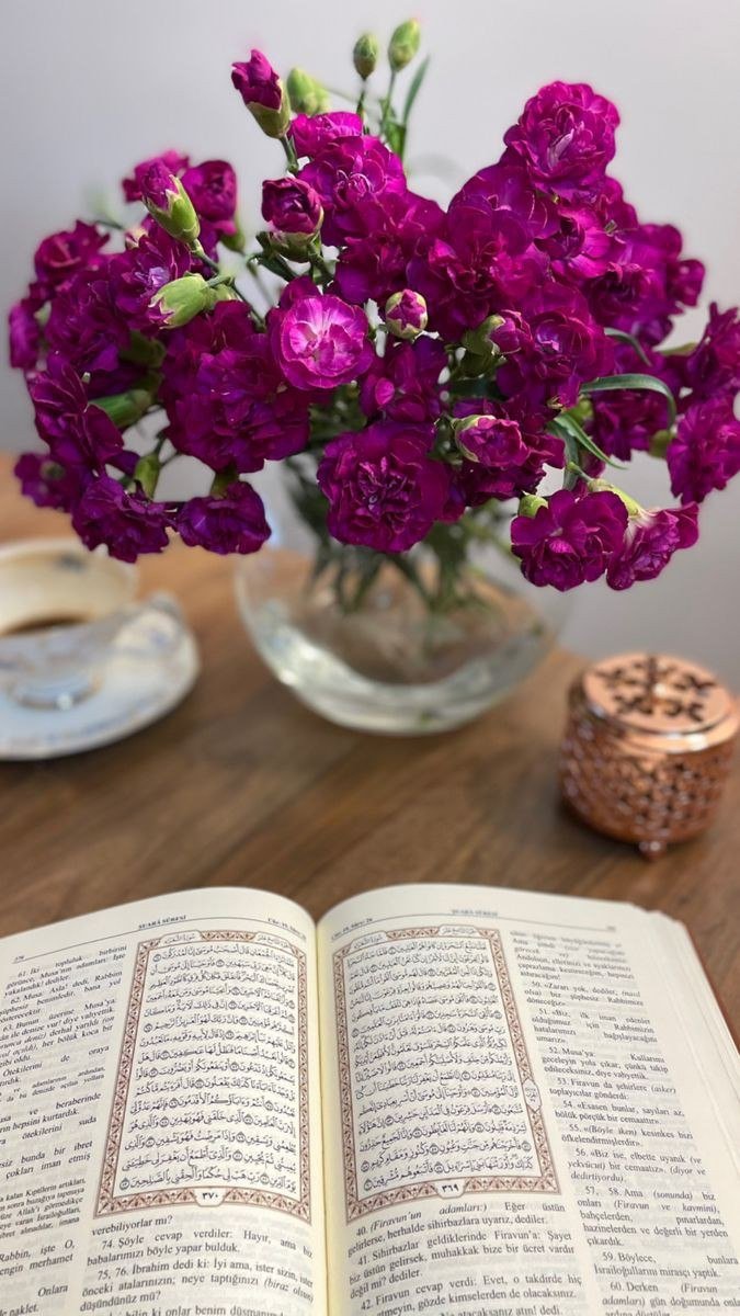 luluamri77's tweet photo. صباحٌ بهيٌ للذين لامست أناملهم
👈🏻 صفحات كتاب الله وامتلأت أعينهم جلالاً بالنظر إليه وسكنت أرواحهم الطمأنينة بتلاوته وتدبره ،
تاللهِ لقد حزتم نعيماً ما حازهُ أهل الأرض قاطبةً ..

طبتم يا أهل القرآن!🩵🍃📗 https://t.co/TEpIClkWTn