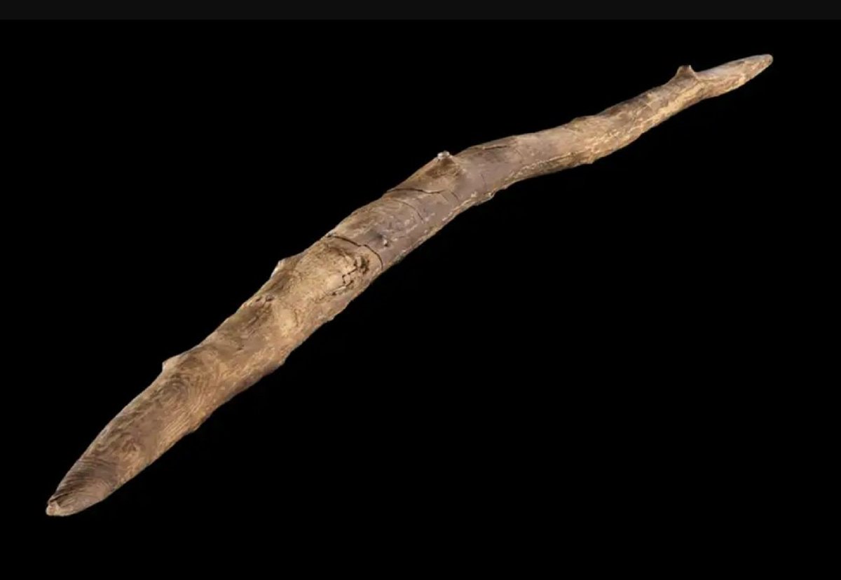 Arma de madera arrojadiza de dos puntas de hace 300.000 años hallada en un yacimiento de Schöningen, Alemania
📷Forschungsmuseum, 2023