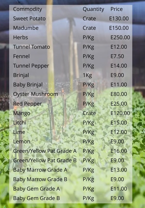 Intsengo Yeliviki NAMBoard latsenga ngayo kubalimi kuleliviki 23 Julý to 29 July 2023