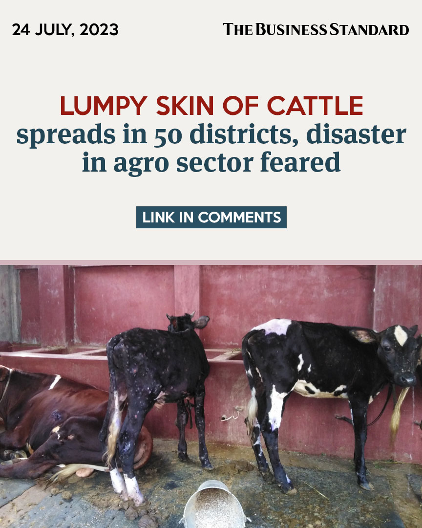 tbsnewsbd's tweet image. Thousands of cattle in almost 50 districts of the country have been suffering from lumpy skin disease for the last three months, making cattle farmers anxious about their animals.

#LumpySkin #CattleFarmers #lumpyskindisease #agrosector #dairyfarmers #Bangladesh #TBSNews