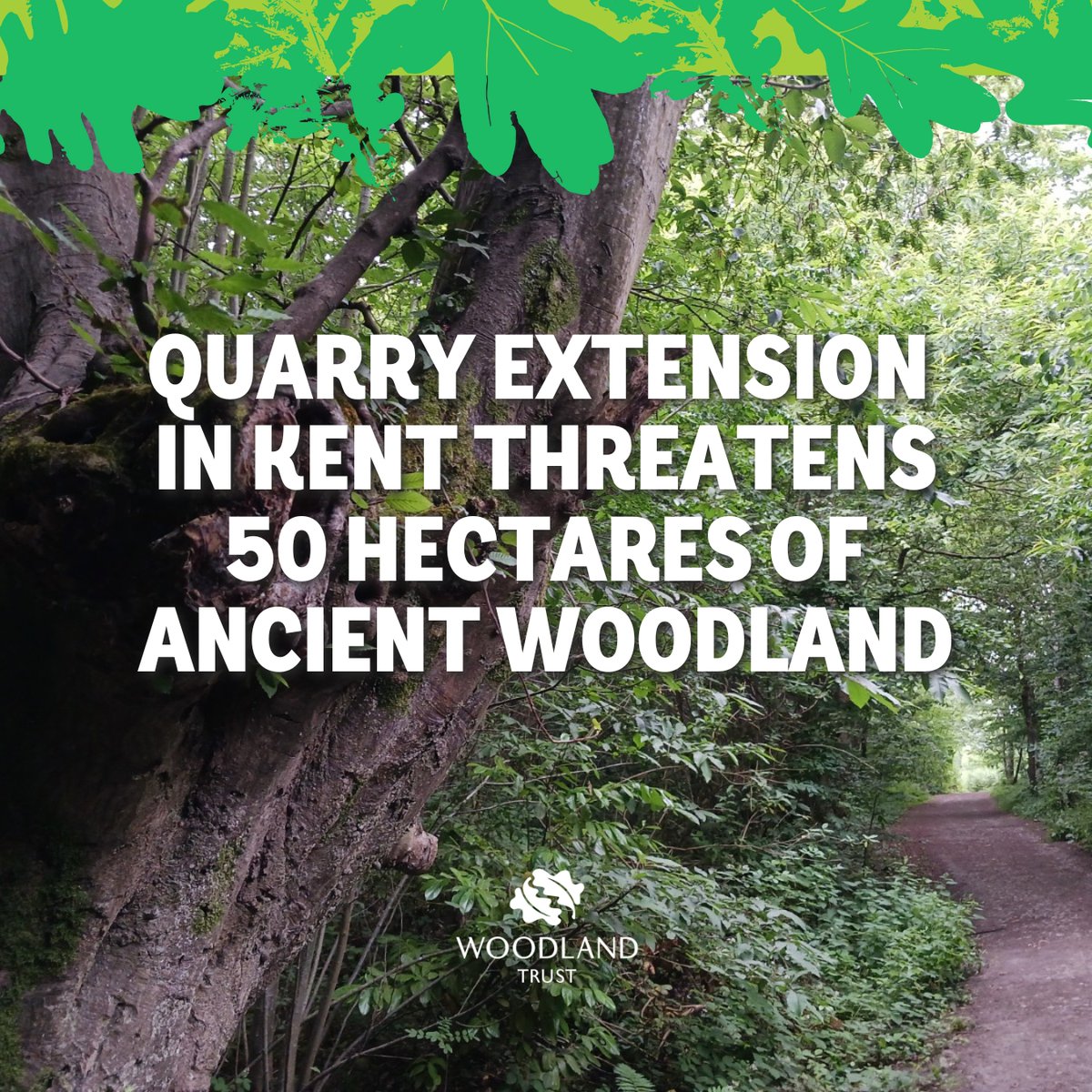 ⚠️ A quarry extension in Kent threatens 50 hectares of irreplaceable #AncientWoodland. 🌳 This is greater than the losses from both #HS2 and the #LowerThamesCrossing schemes combined. 👉 The consultation closes tomorrow. Object today: bit.ly/3qUADpr