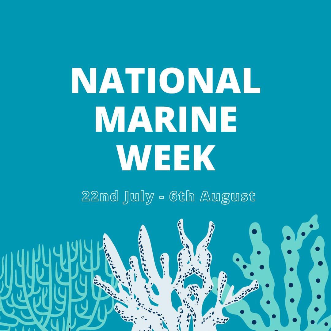 TheGreatCollab1's tweet photo. #NationalMarineWeek is a time for us nature lovers to focus our attention to the mysterious world of marine life. 

@WildlifeTrusts have listed spots from Peterhead to Dorset to view some of the UK's amazing marine species.

Discover more: https://t.co/UpoelaxPbr https://t.co/9bXVMP0ekz
