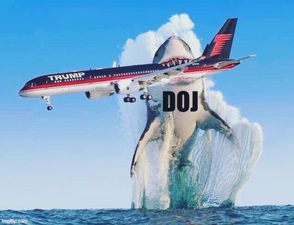 Good morning.

Happy Shark Week.