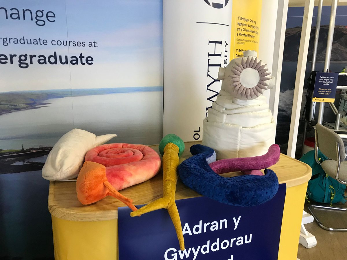 JacobL_1998's tweet photo. Welcome to the world of parasites at @AberUni, find me and @Hnorthcote3 at the #RoyalWelshShow, and have a go at discovering potential drug candidates for Panagrellus! https://t.co/gE6fiTCfEq