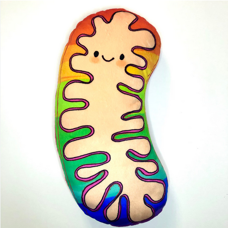 ME_morabilia's tweet photo. @hout_marianne @cfs_jo @Talmandaniel Solved ! [I also remember seeing mitochondria made in crochet that were both homemade &amp; cute ] https://t.co/mPI7ndHahM