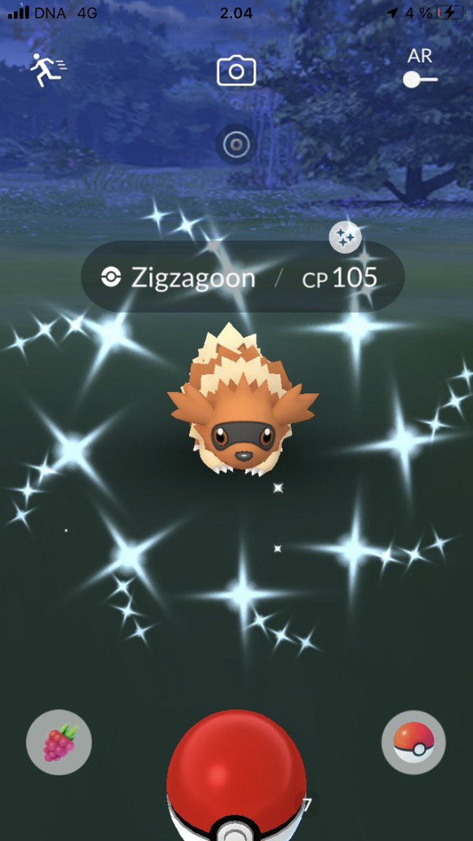 mrsbongobong's tweet photo. I was so excited about the Riolu hatch day I forgot I recently got some other interesting stuff too. Especially my Growlithe nundo is an extra sweet thing to me 😍
#PokemonGo #NundoPokemon #Nundo #ShinyGrowlithe #ShinyDoduo #ShinyZigzagoon https://t.co/3wQ9EdBkZm