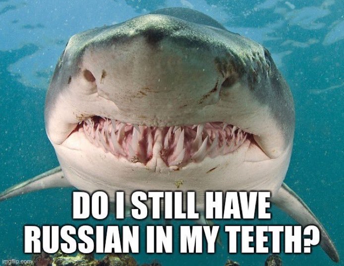 Make Peace Now; alternative news on Twitter: "This photo is still used