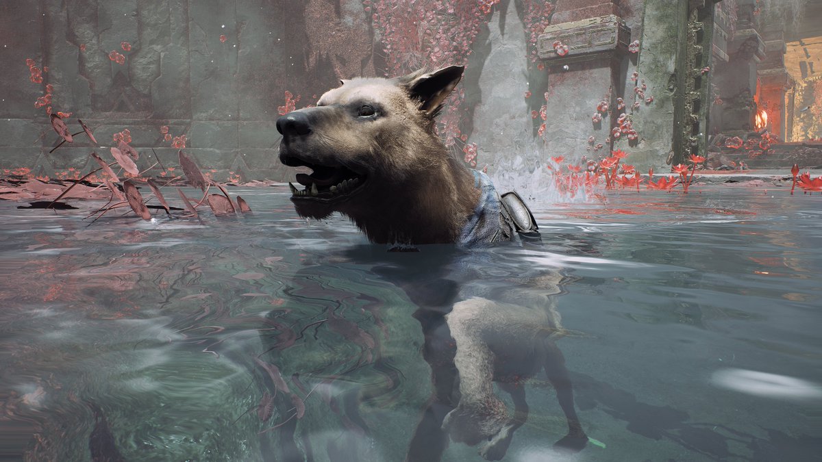 Shinobi 🖱📸 tweet media