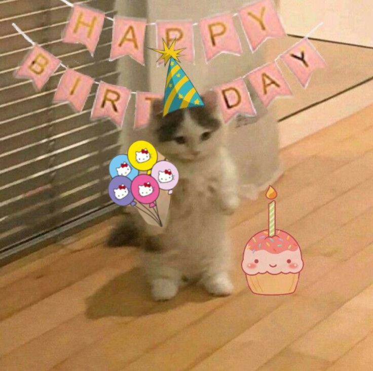 Wreitched's tweet photo. Hampy blubday @Loiuvre, selamat ulang tahun yang ke-7! Jangan lupa datang ke pesta ulang tahun di Caith di KFC. Like any other year, I always wish you well. I'm grateful to celebrate your birthday every year for these past.. 7 years? All of my best wishes for you ya, Leo. 👩🏻‍🍳🫵🏻 https://t.co/u0bAdxscVU