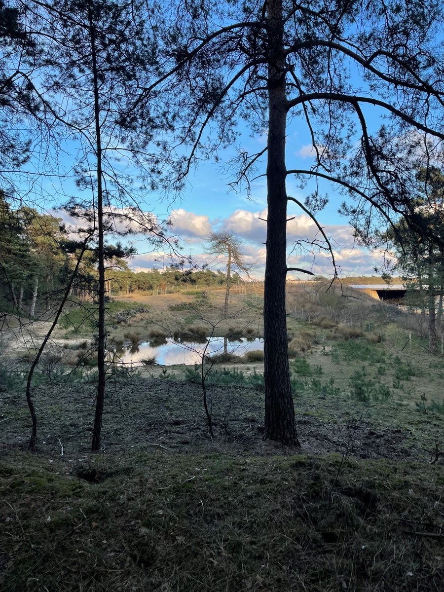 Recently, one of our bachelor students, Lena Höllisch, graduated with a 9,5 for her thesis on meaningful/dirty work focussing on hunters. We want to congratulate her  and share a sneak peek of her work with all of you:

tinyurl.com/56dzcuyt