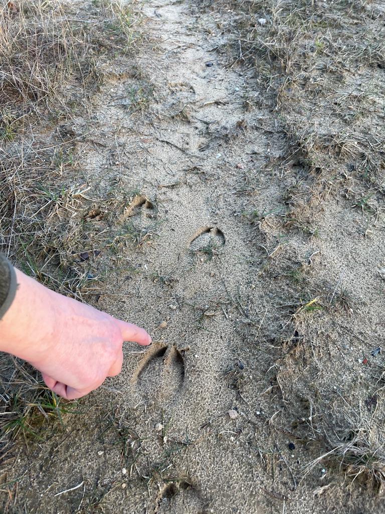 Centre for Religion, Health and Wellbeing tweet media